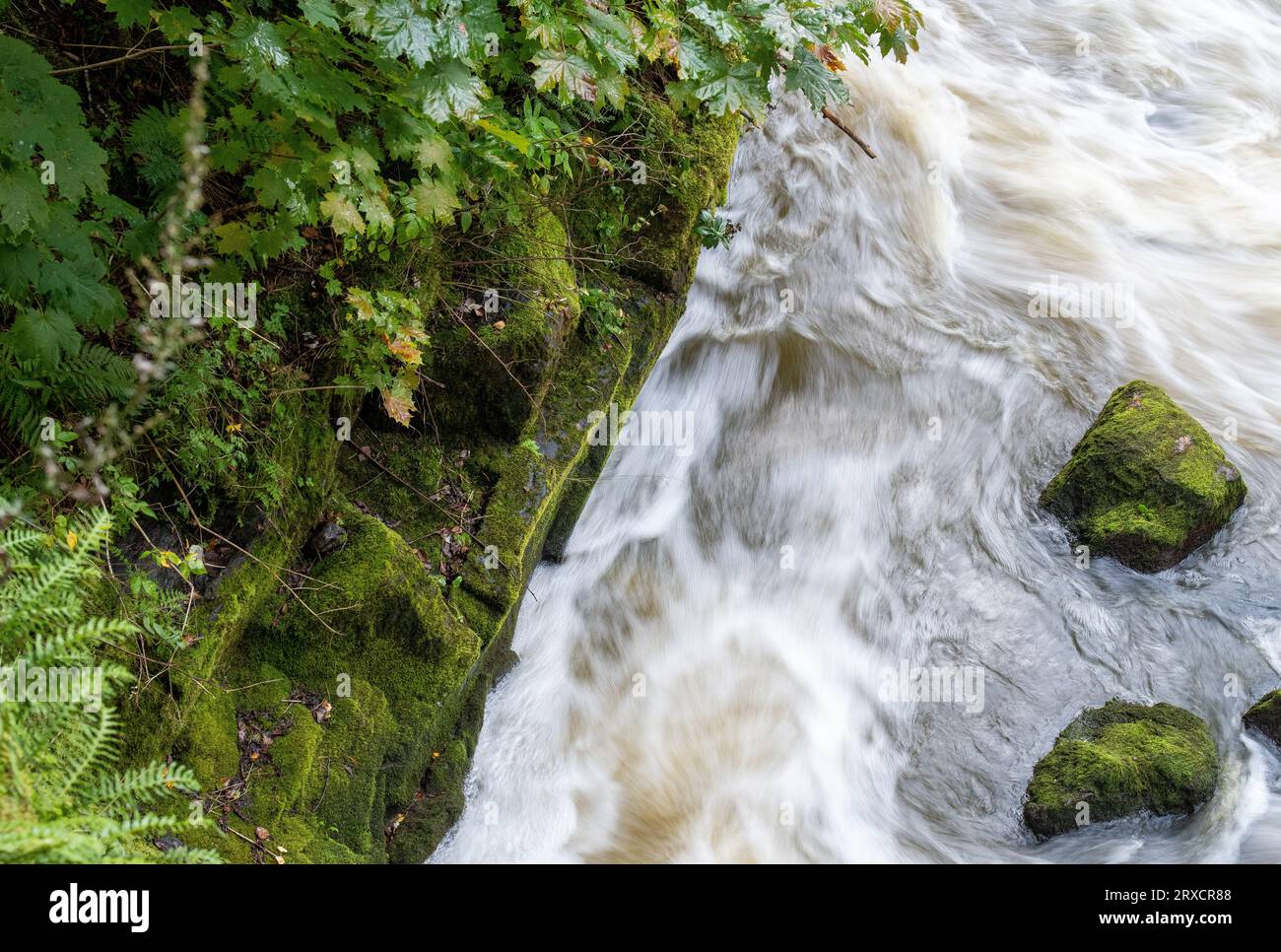 Weiße Stromschnellen Stockfoto