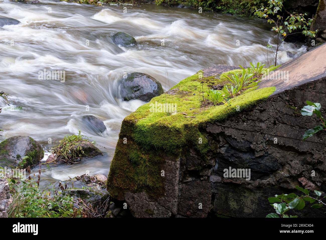 Weiße Stromschnellen Stockfoto