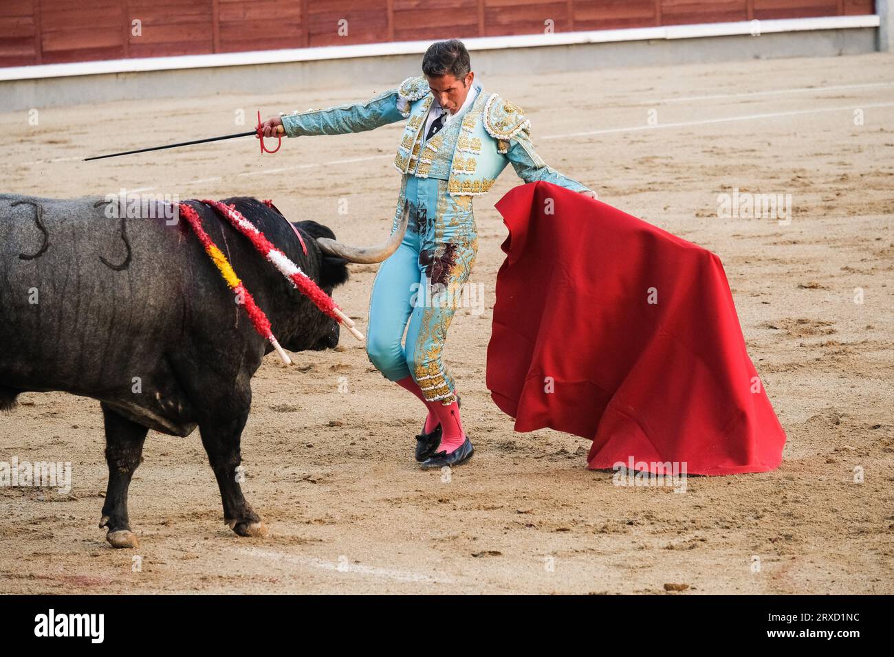 Madrid, Spanien. September 2023 25. Der Stierkämpfer Serafín Marín während des Stierkampfes von Corrida de Toros auf der Plaza de las Ventas in Madrid, 24. September 2023 Spanien (Foto: Oscar Gonzalez/SIPA USA) (Foto: Oscar Gonzalez/SIPA USA) Kredit: SIPA USA/Alamy Live News Stockfoto