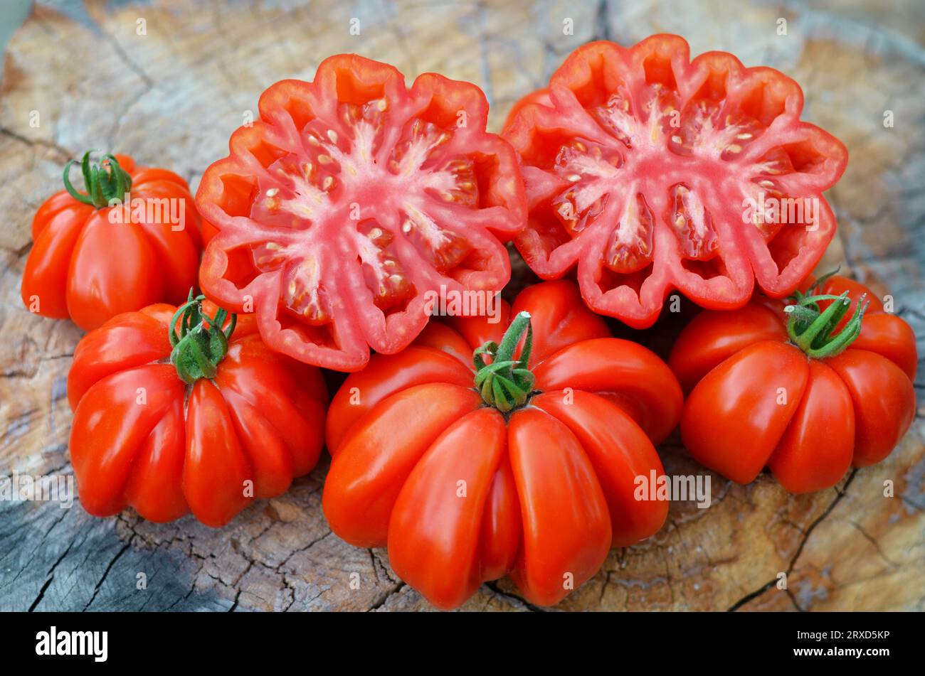 Nahaufnahme von roten gerippten Tomaten ganz und halb. Bio-Gartenkonzept. Stockfoto