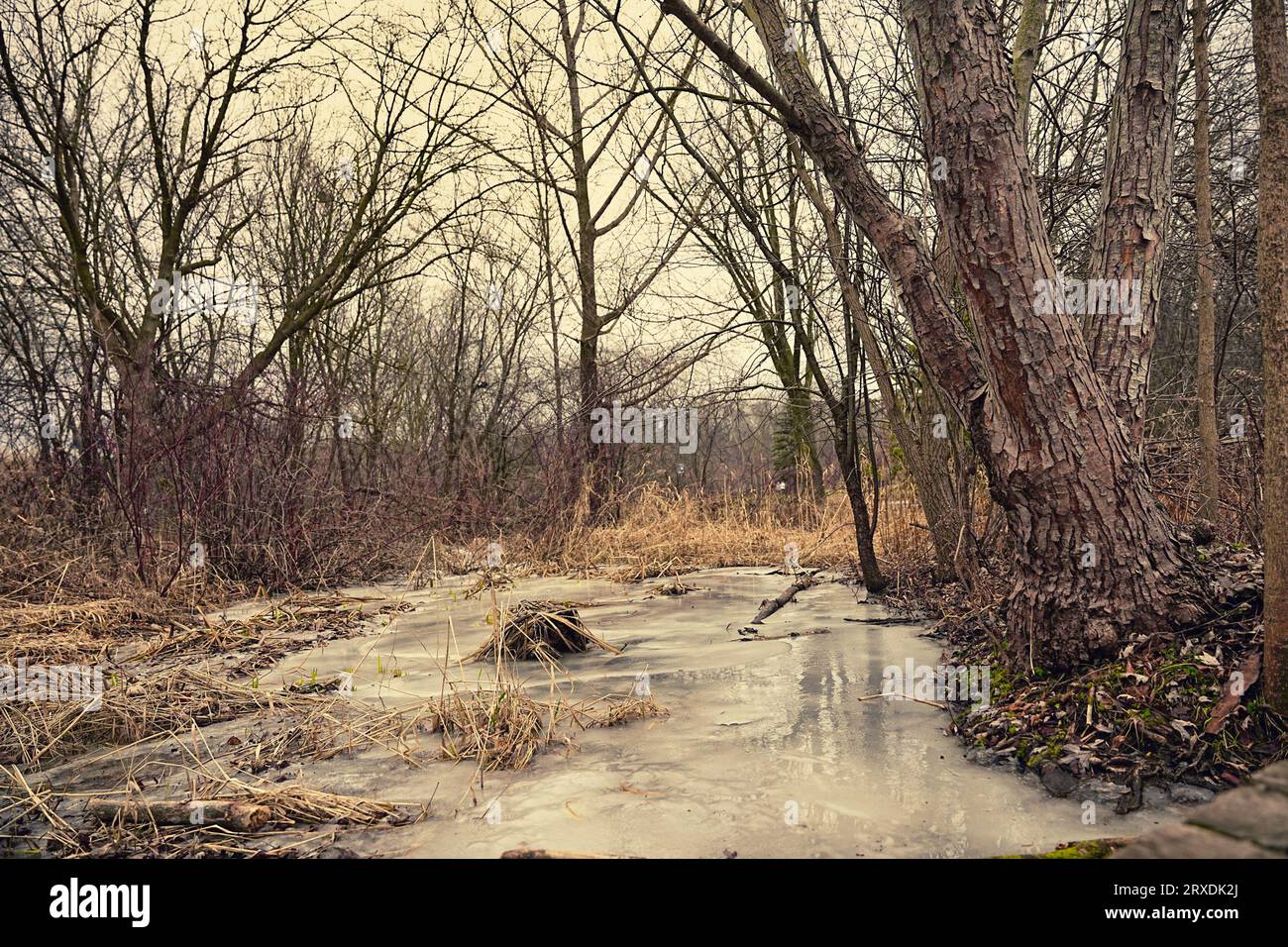 Gefrorene oase Fotos und Bildmaterial in hoher Auflösung Alamy