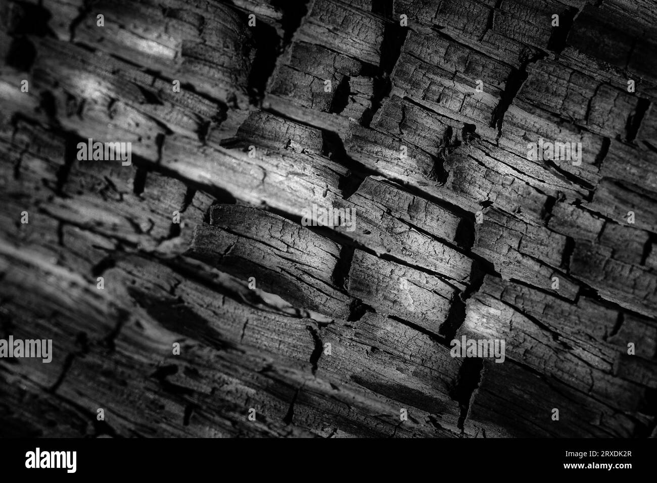 Ein faszinierendes Spiel zwischen Licht und Schatten auf der Textur von verkohltem Holz. Fesselnde Details tauchen in der monochromen Palette von Schwarz und weiß auf Stockfoto