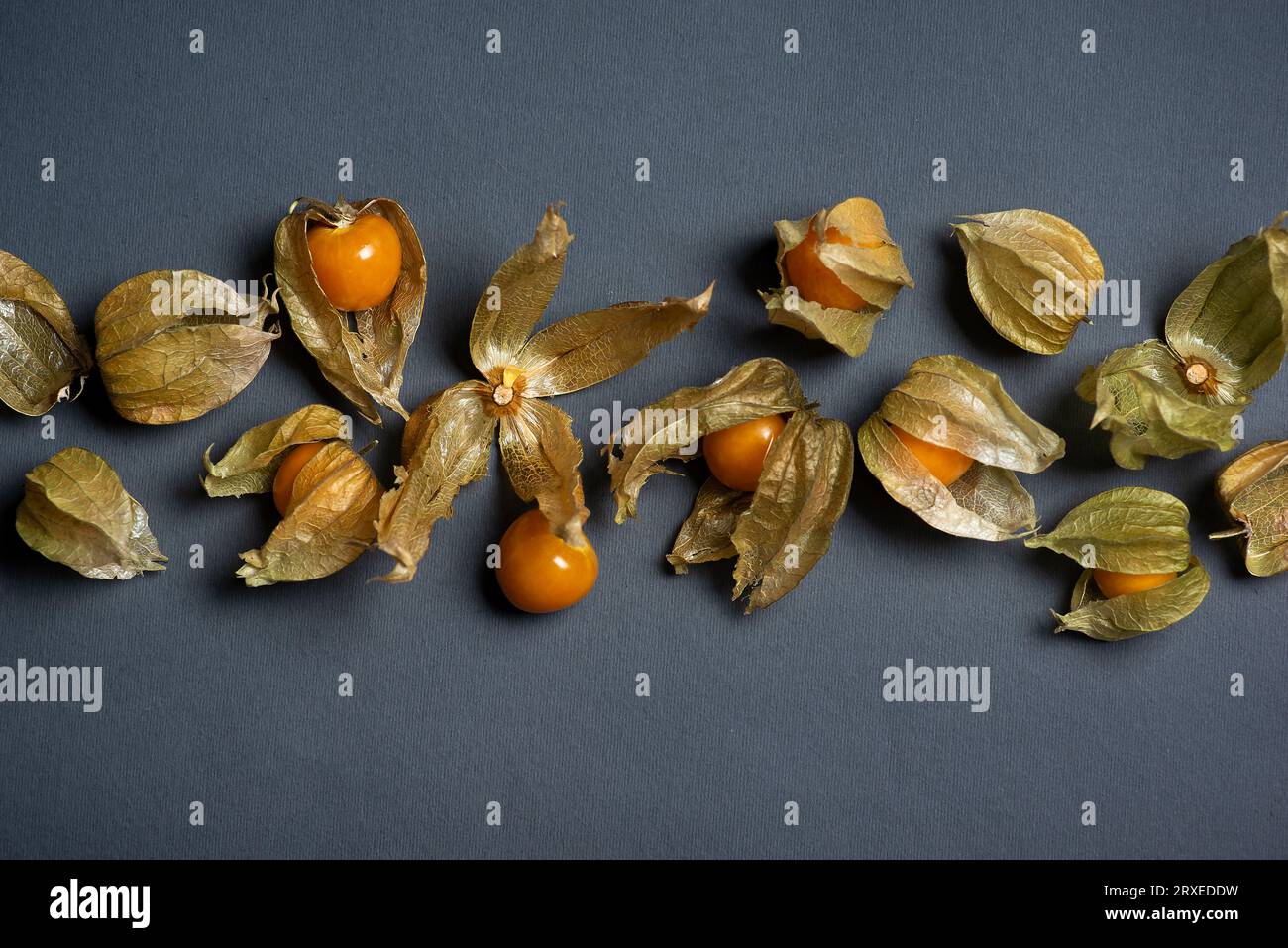 Peruanische Erdbeere, Physalis peruviana - zusätzlich zu Gerichten, Desserts, Salaten. Die Superfrucht der alten Azteken beeinflusst den Körper wie ein Antibi Stockfoto