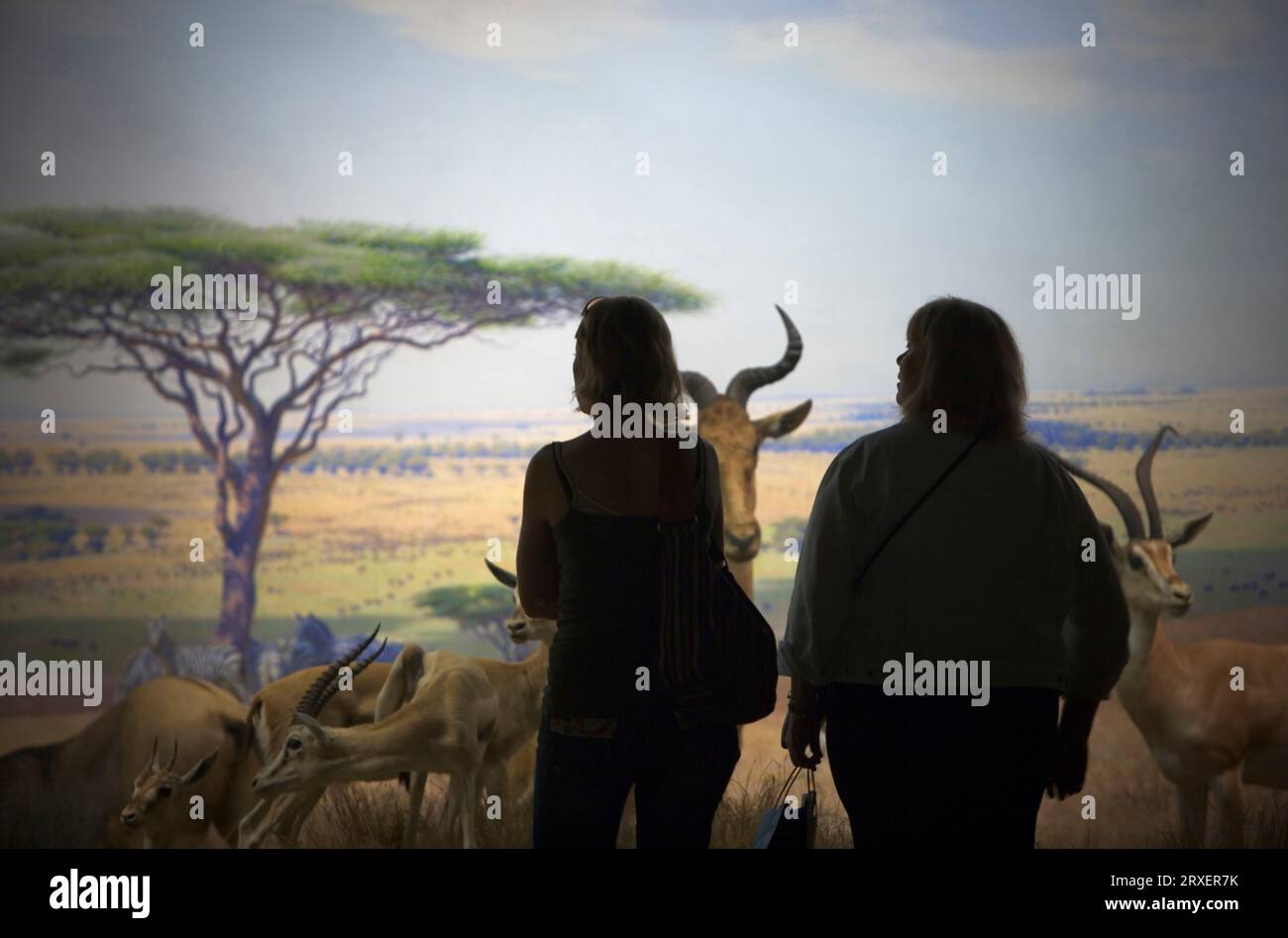 Zwei Personen stehen vor einer Museumsausstellung. Stockfoto