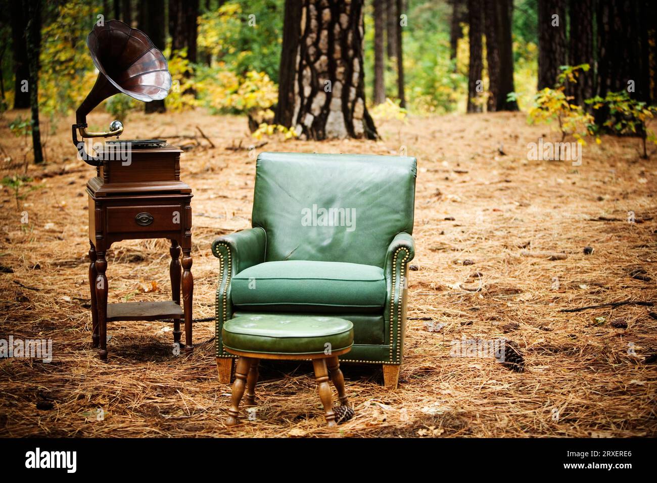 Sessel im wald -Fotos und -Bildmaterial in hoher Auflösung – Alamy