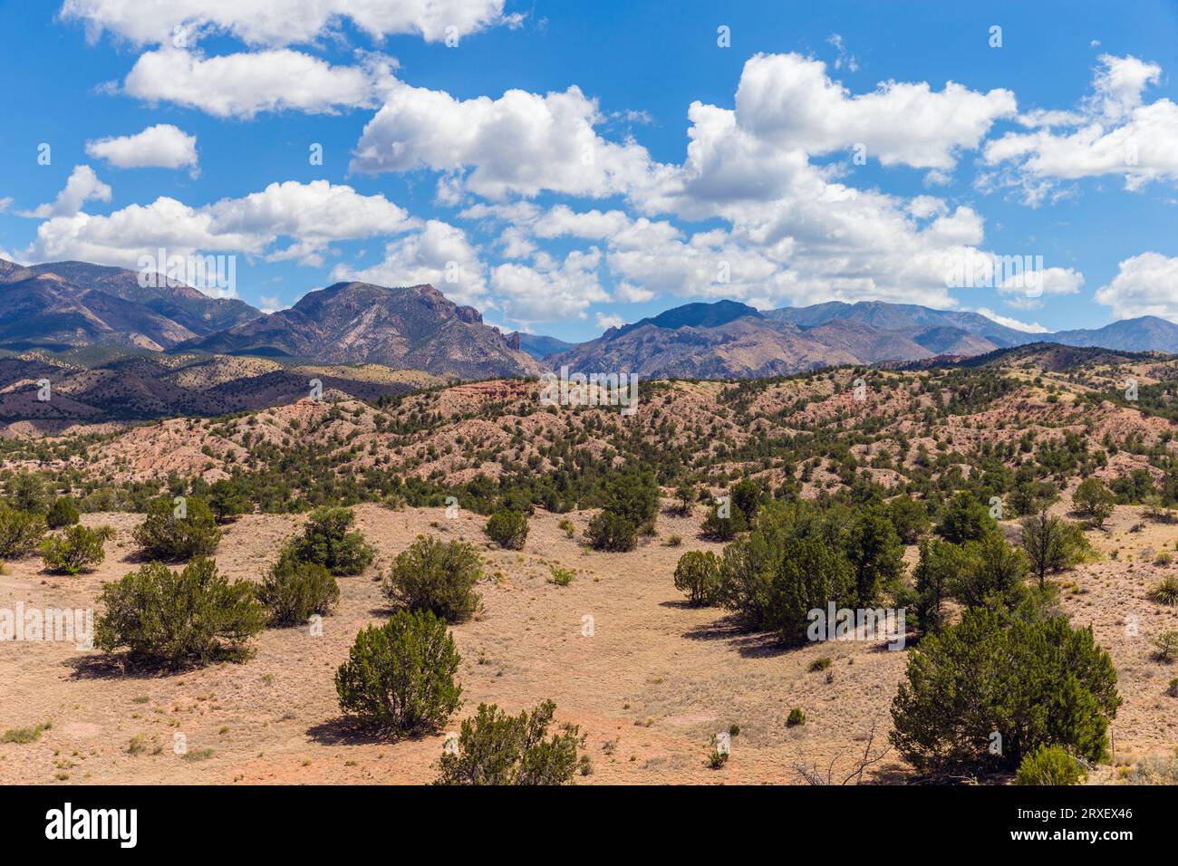 Wüstenlandschaft im New Mexico, USA Stockfoto