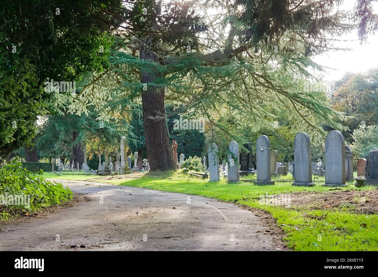 Ein gewundener Pfad durch den alten viktorianischen Friedhof, auf dem im Herbst die Sonne durch Bäume scheint Stockfoto