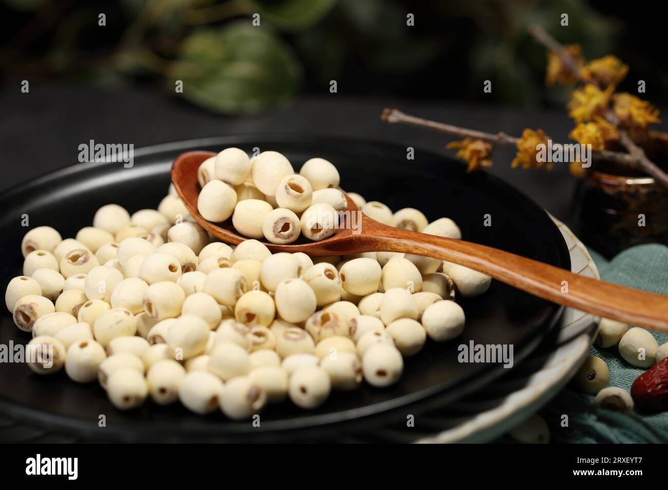 Bilder von Lotussamen mit hochauflösenden Fotos, nährstoffreichen, kalorienarmen und antioxidativen Eigenschaften Stockfoto
