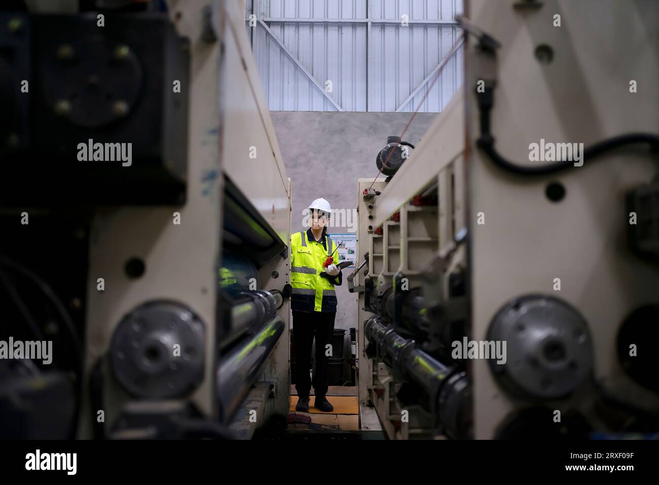 Arbeiter und Kartonverpackungsfabrik. Arbeiter und Fabrikkonzept. Stockfoto