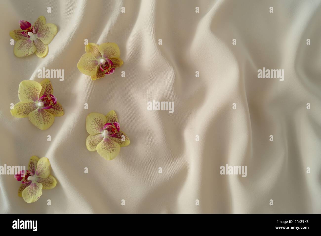 Exotische Orchideen auf glatter Seide. Minimales Hintergrundkonzept. Die ästhetische Idee der Natur. Flach liegend, Ansicht oben. Stockfoto