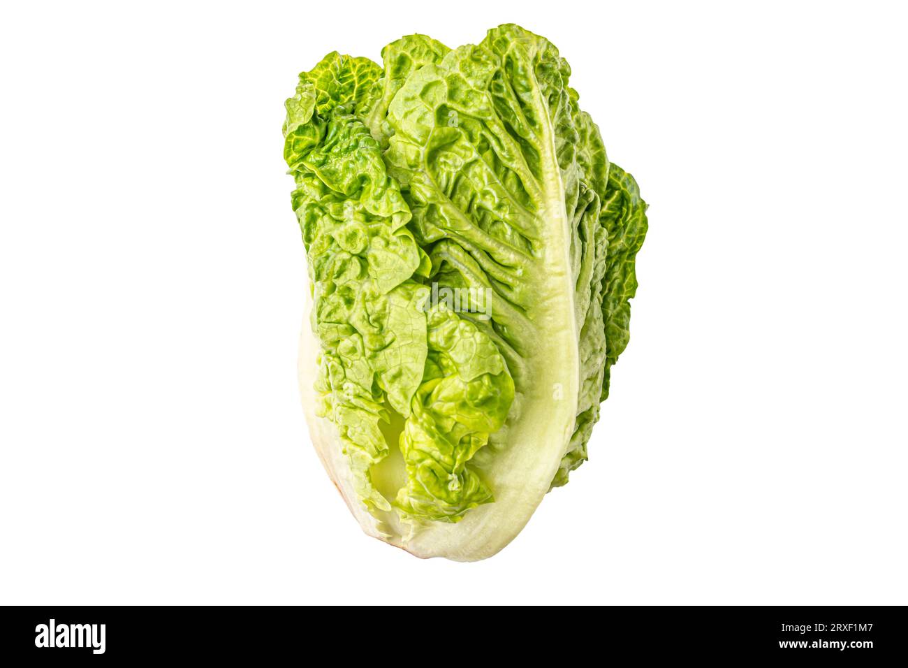 Grüner Kopfsalat auf weißem Hintergrund. Hochwertige Fotos Stockfoto