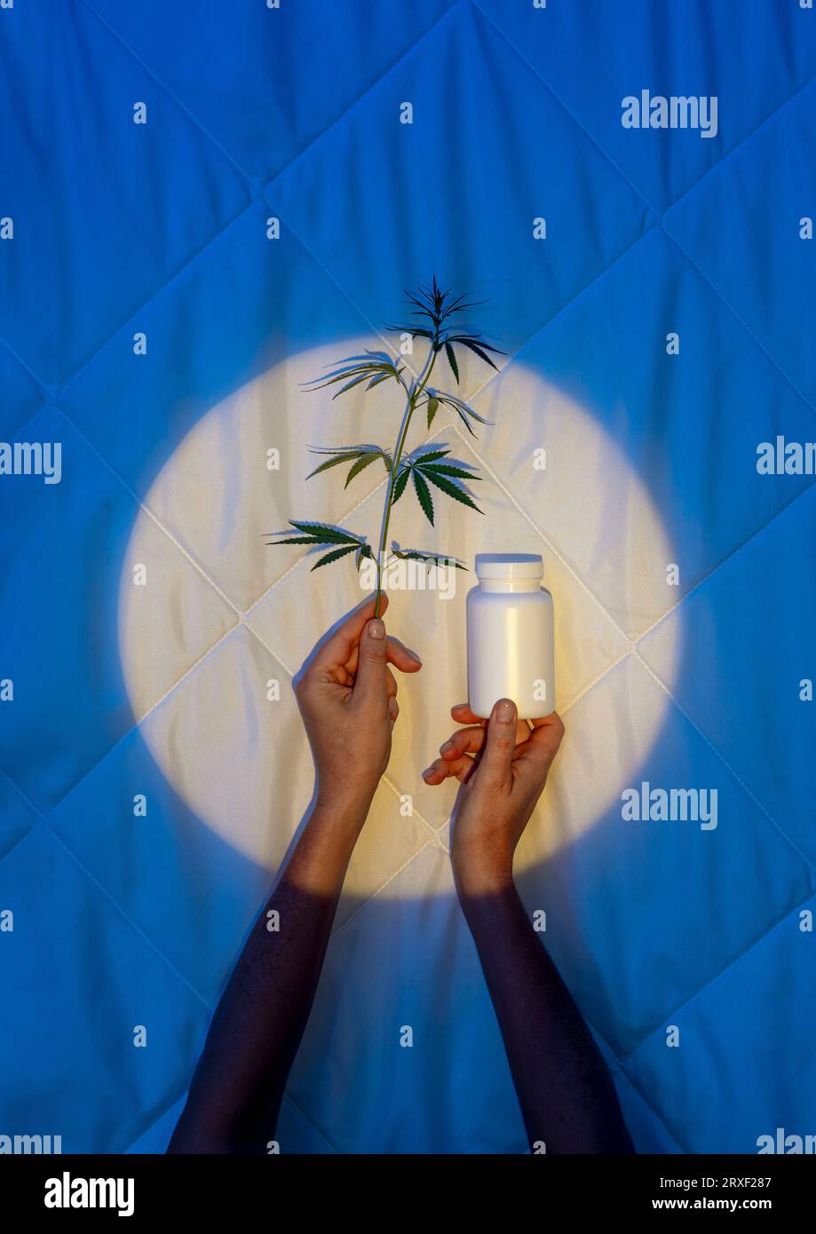 Tauchen Sie ein in die Ruhe der Nacht: Die beruhigende Kraft der siv-Kapsel in einem weißen Glas mit einem Zweig Cannabis in den Händen gegen Stockfoto