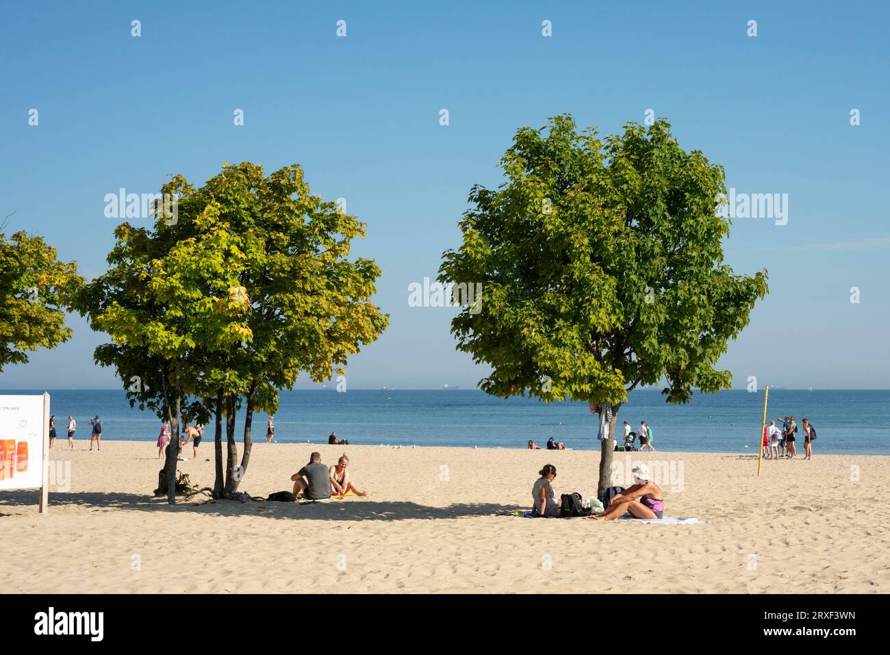 Touristen unter Baumschatten am Ostseestrand in Sopot, Polen, Europa, EU Stockfoto