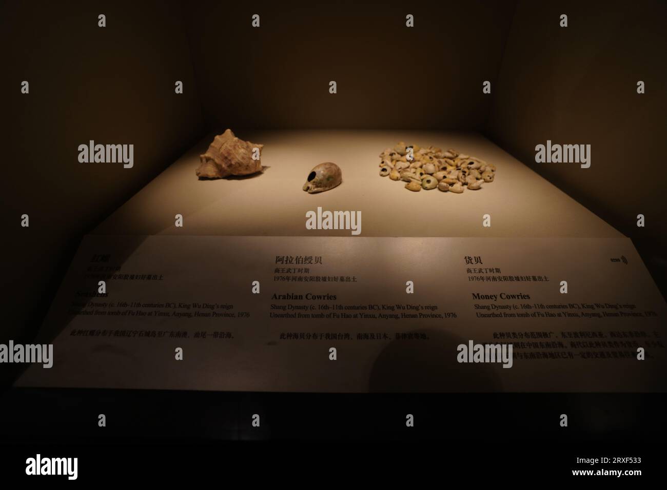 Peking China, 17. Februar 2023: Rote Schnecken der Shang-Dynastie, arabische Muscheln und Frachtmuscheln im chinesischen Nationalmuseum. Stockfoto