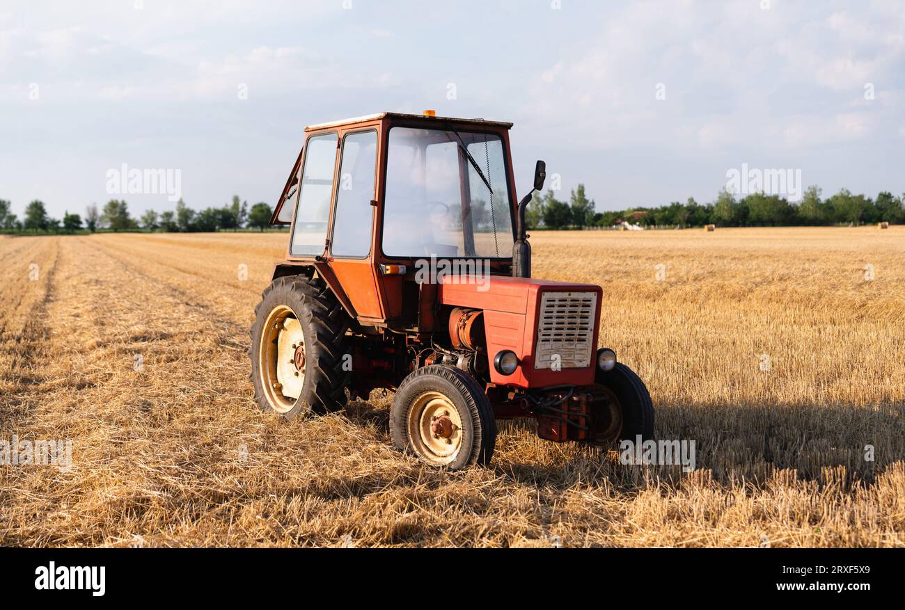 Roter Traktor auf einem landwirtschaftlichen Feld. Stockfoto