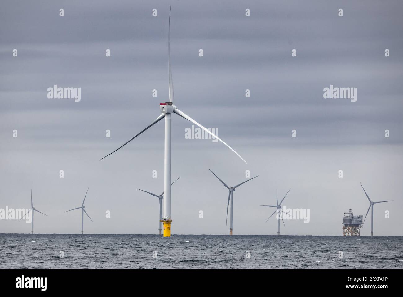 IJMUIDEN Turbinen auf See bilden den Windpark Hollandse Kust Zuid von Vattenfall. Der Windpark