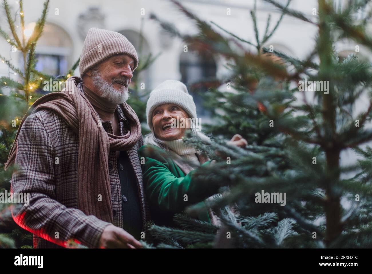 Glückliches Seniorenpaar genießt den weihnachtsmarkt, kauft weihnachtsbaum. Stockfoto