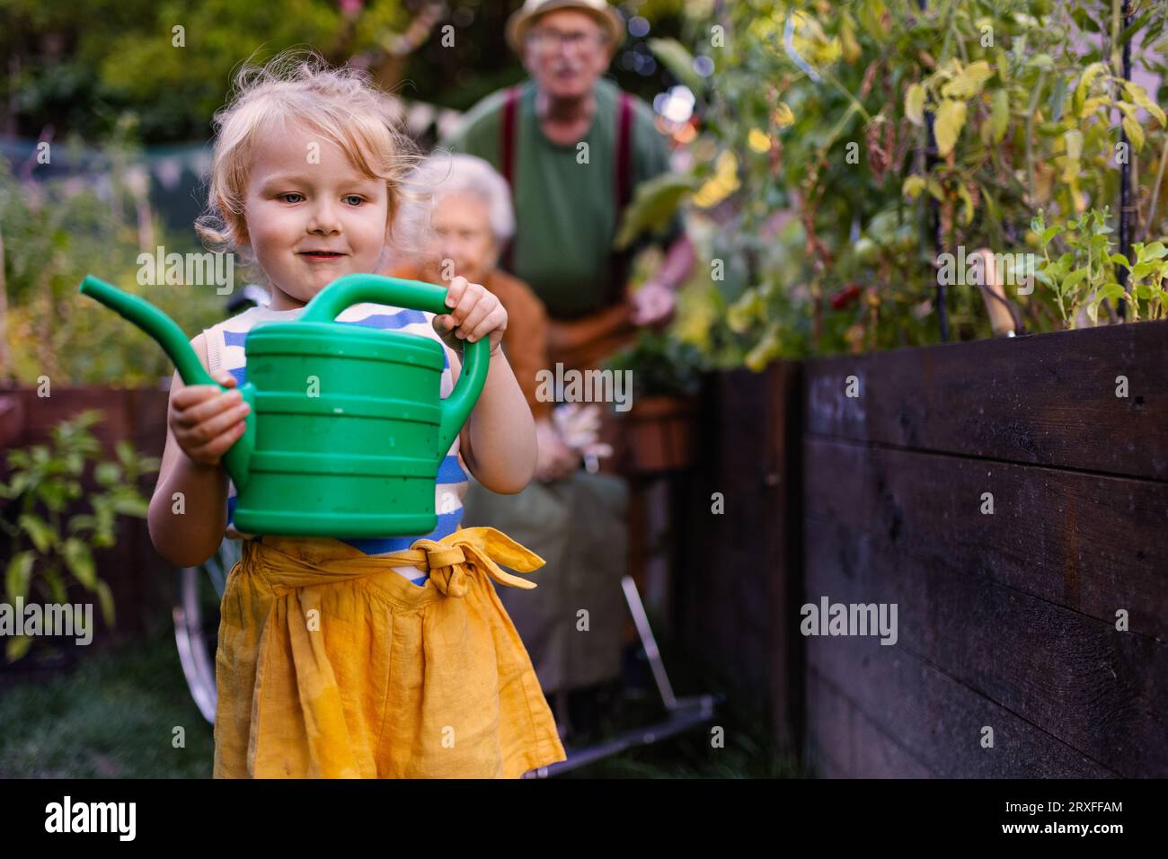 Porträt eines kleinen entzückenden Mädchens, das ihren Großeltern im Garten hilft. Stockfoto