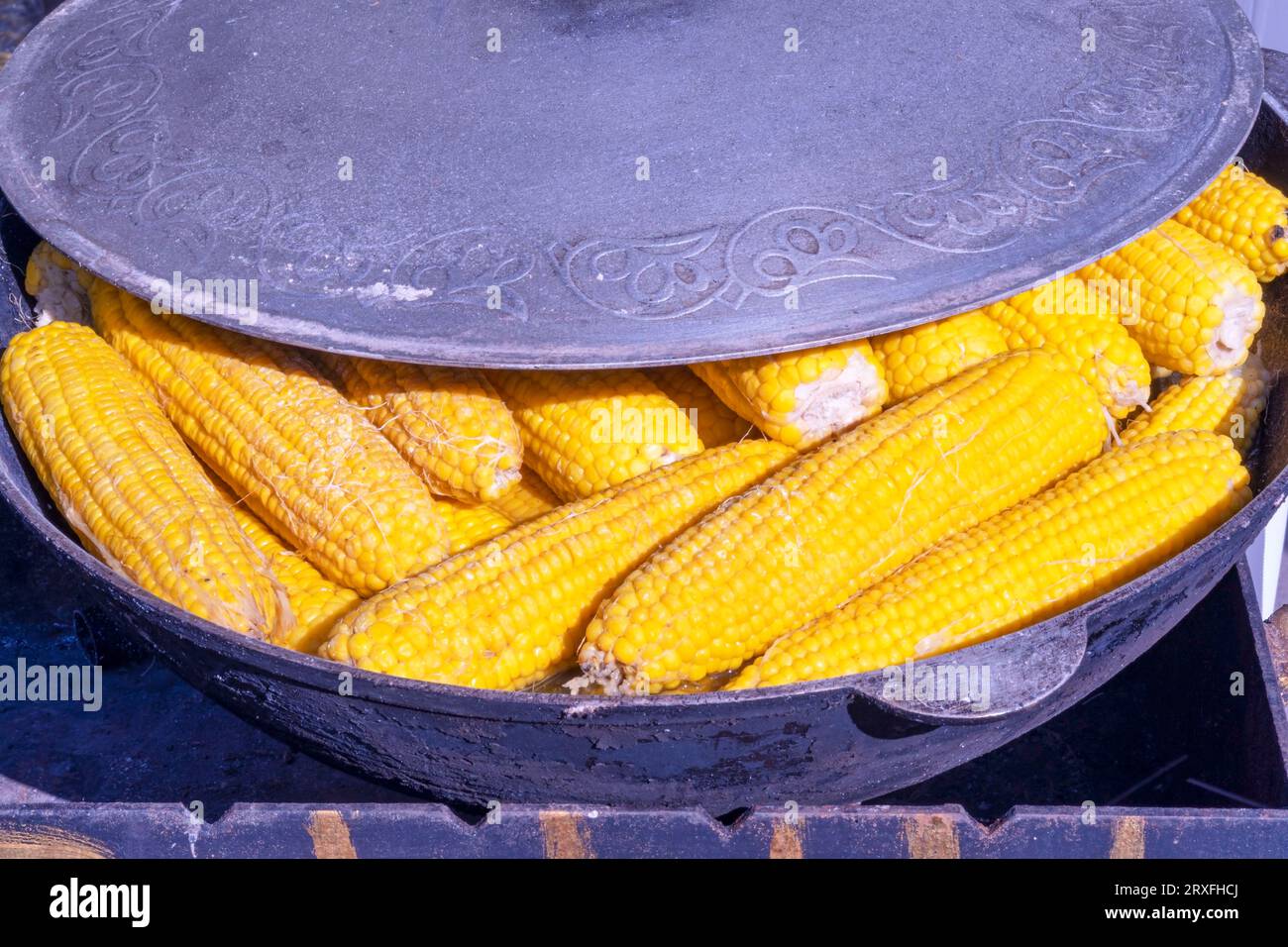 Kochen Von Mais. Ein paar Mais. Mais Nahaufnahme. Konzept für Getreidekulturen Stockfoto