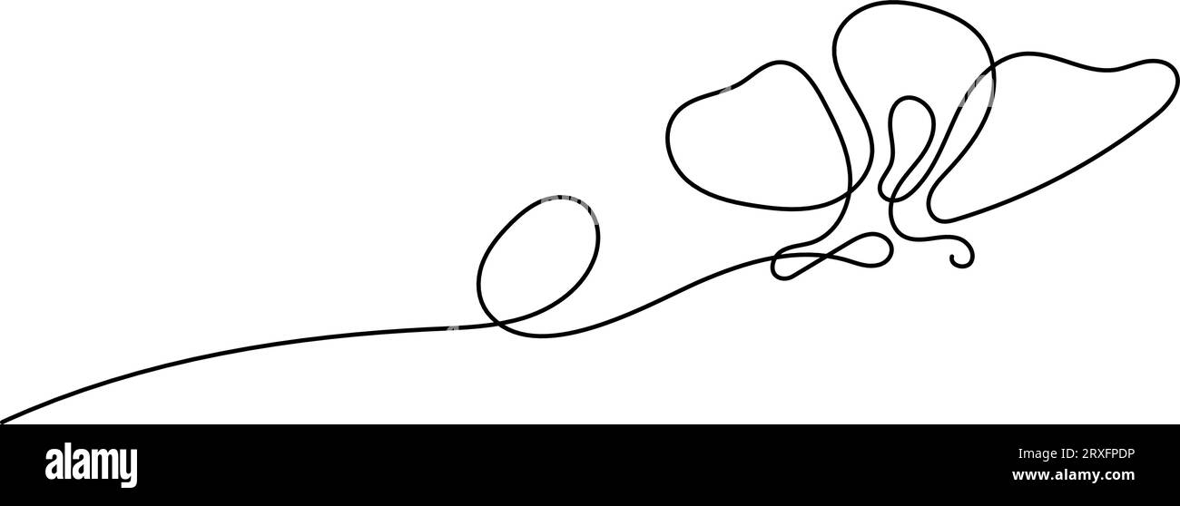 Schmetterlingszeichnung durch Vektorillustration mit durchgehender Linie und dünner Linie Stock Vektor