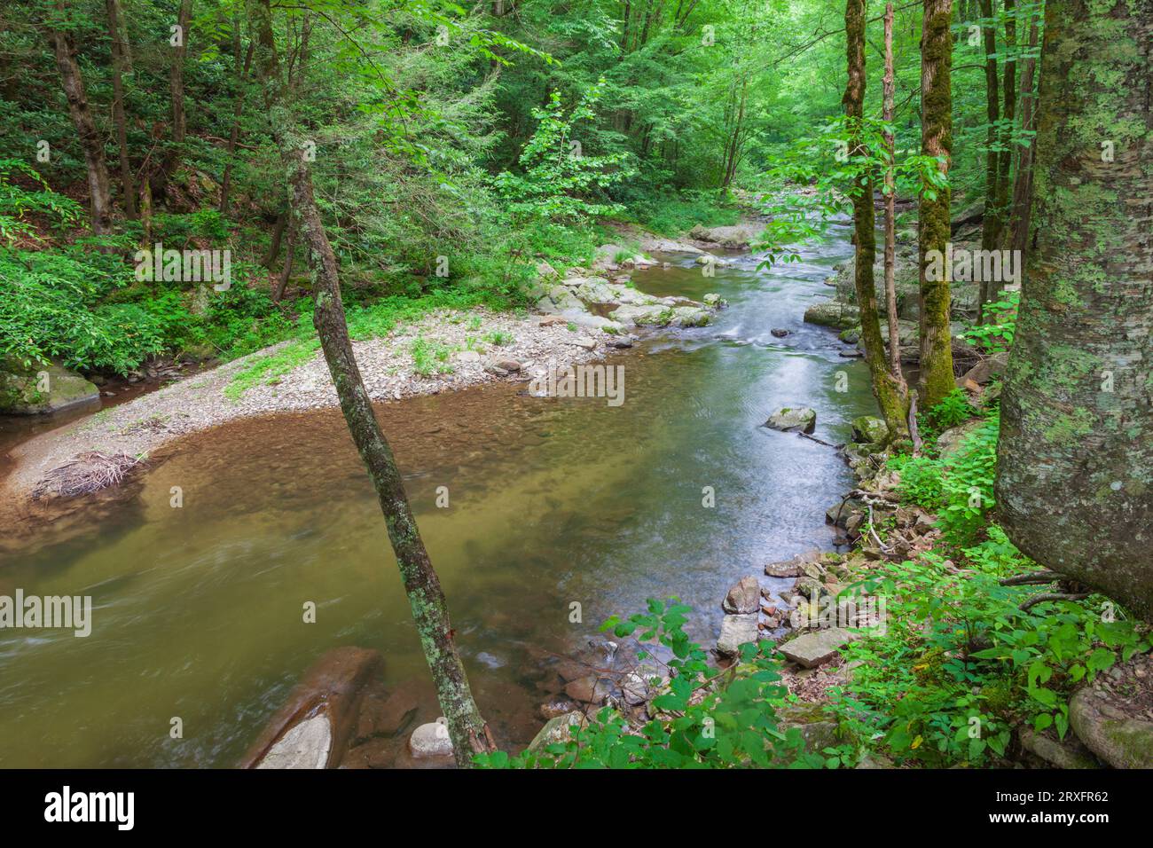 Rapids und Wasserfälle mit Flechten bedeckten Felsen am Laurel Creek in der Nähe von Cades Cove im Great Smoky Mountain National Park auf der Tennessee Side. Stockfoto