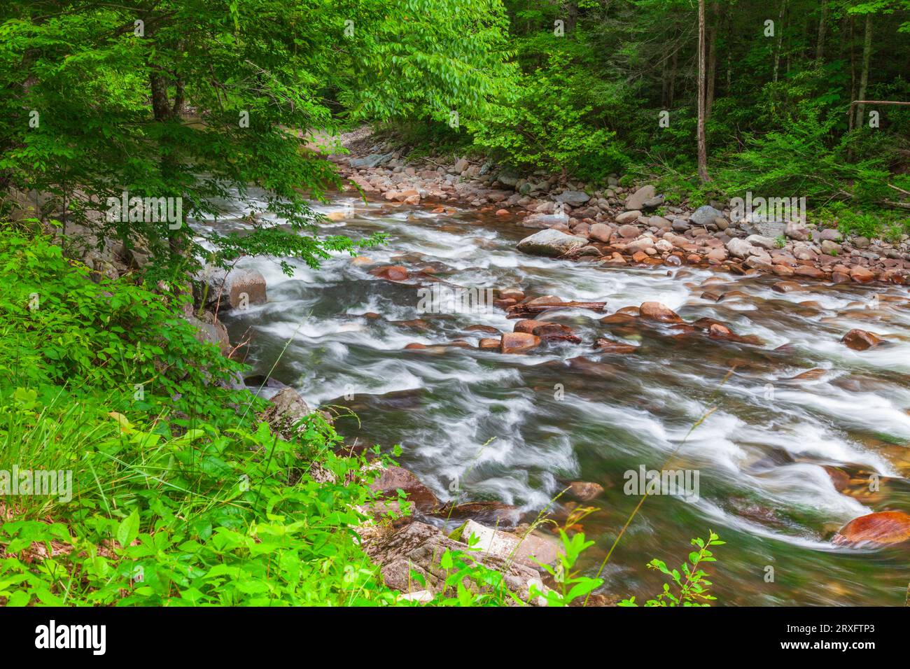 Schnell fließende Strom auf der Little River (in der Nähe von Townsend) im Nationalpark Great Smoky Mountains in Tennessee. Stockfoto