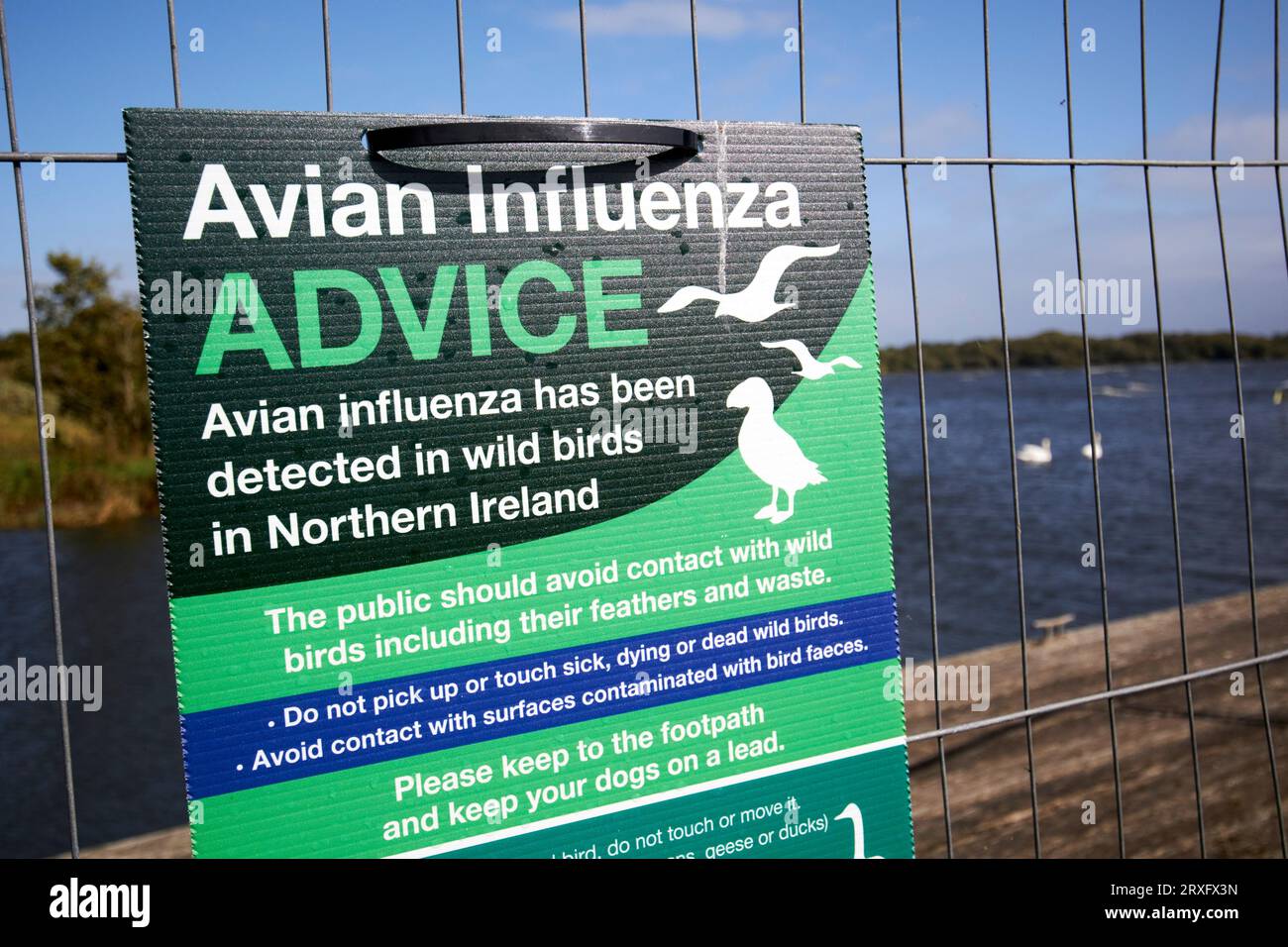 Vogelgrippe-Warnzeichen und -Hinweise in der Nähe von lough neagh Nordirland Vereinigtes Königreich Stockfoto