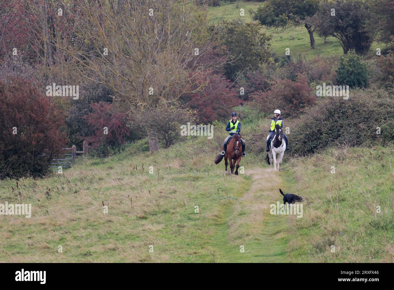 Reiten zwei Damen auf den Südabfahrten Großbritannien ein braunes Pferd und ein schwarz-weißes Pferd reisen mit einem schwarzen Hund weit entfernten Themen landschaftlich reizvolle Landschaft Stockfoto