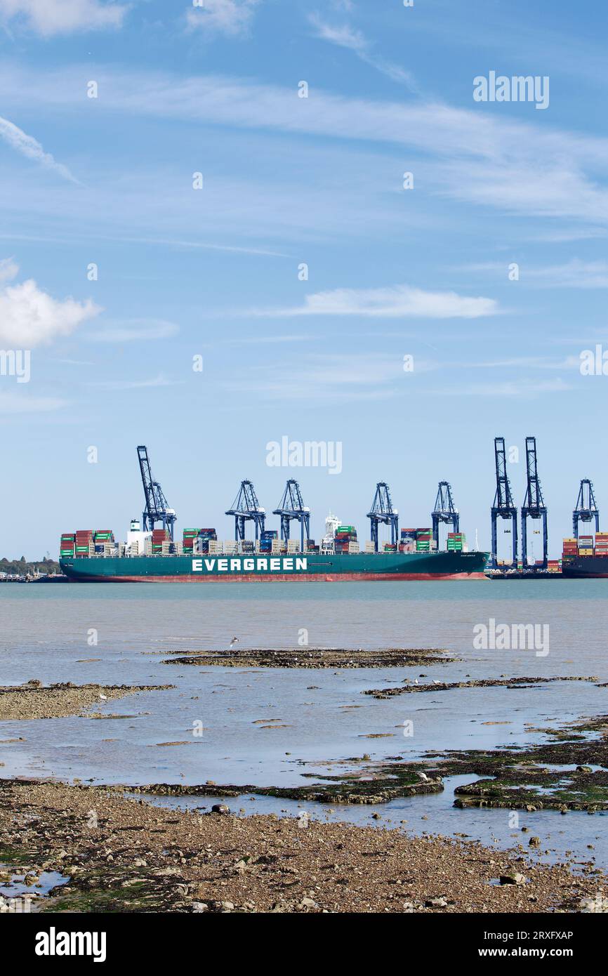 Containerschiff, das immer sanft im Hafen von Felixstowe, Suffolk, Großbritannien, anlegte. Stockfoto