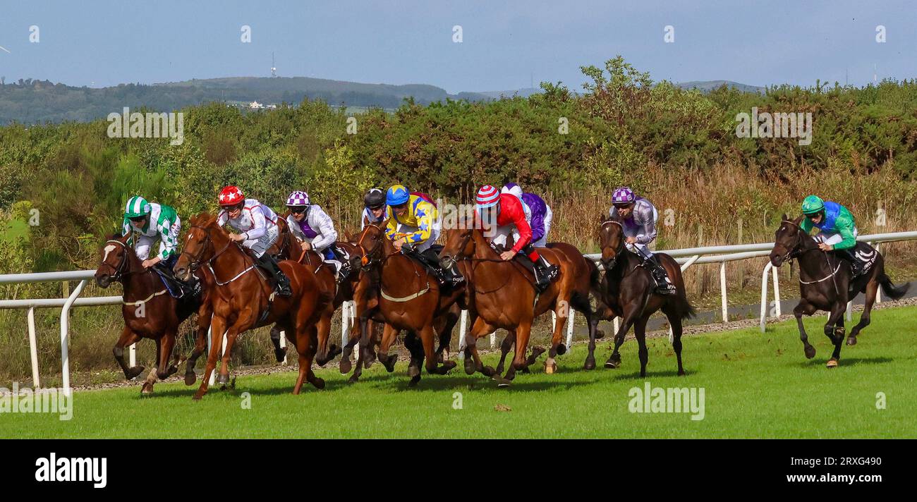 Down Royal Racecourse, Lisburn, Nordirland, Großbritannien. September 2023 25. Molson Coors Race Day - Irish EBF Auction Series Fillies Maiden (IRE Incentive Race) – Sieger-Sluice (4), geritten von Declan McDonagh (hellblaue rote Kreisen) und trainiert von Joseph Patrick O'Brien. Quelle: CAZIMB/Alamy Live News. Stockfoto