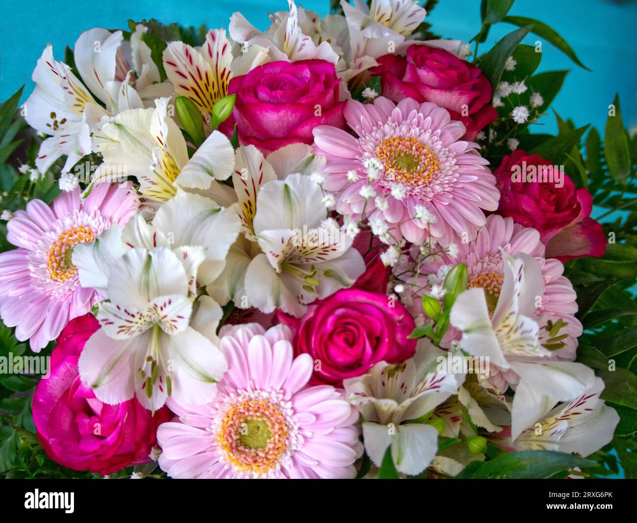 Blumen zum geburtstag Fotos und Bildmaterial in hoher Auflösung Alamy
