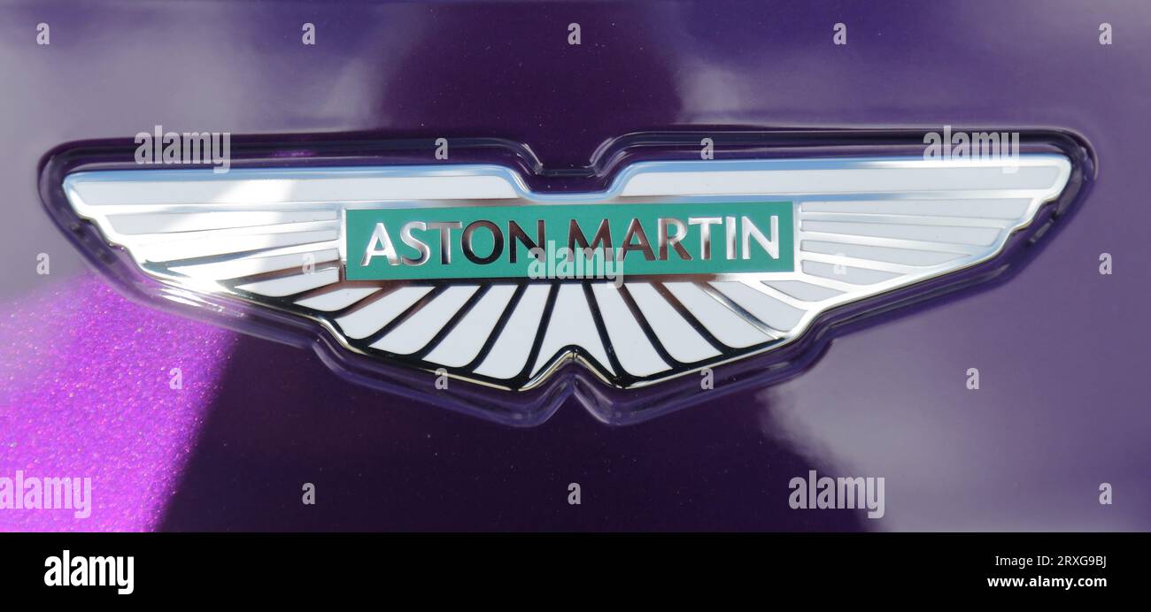Abzeichen eines Aston Martin Sports Carat auf dem jährlichen Treffen für Klassiker, Sport und Supersportwagen im Stonor Park in Oxfordshire, Großbritannien Stockfoto