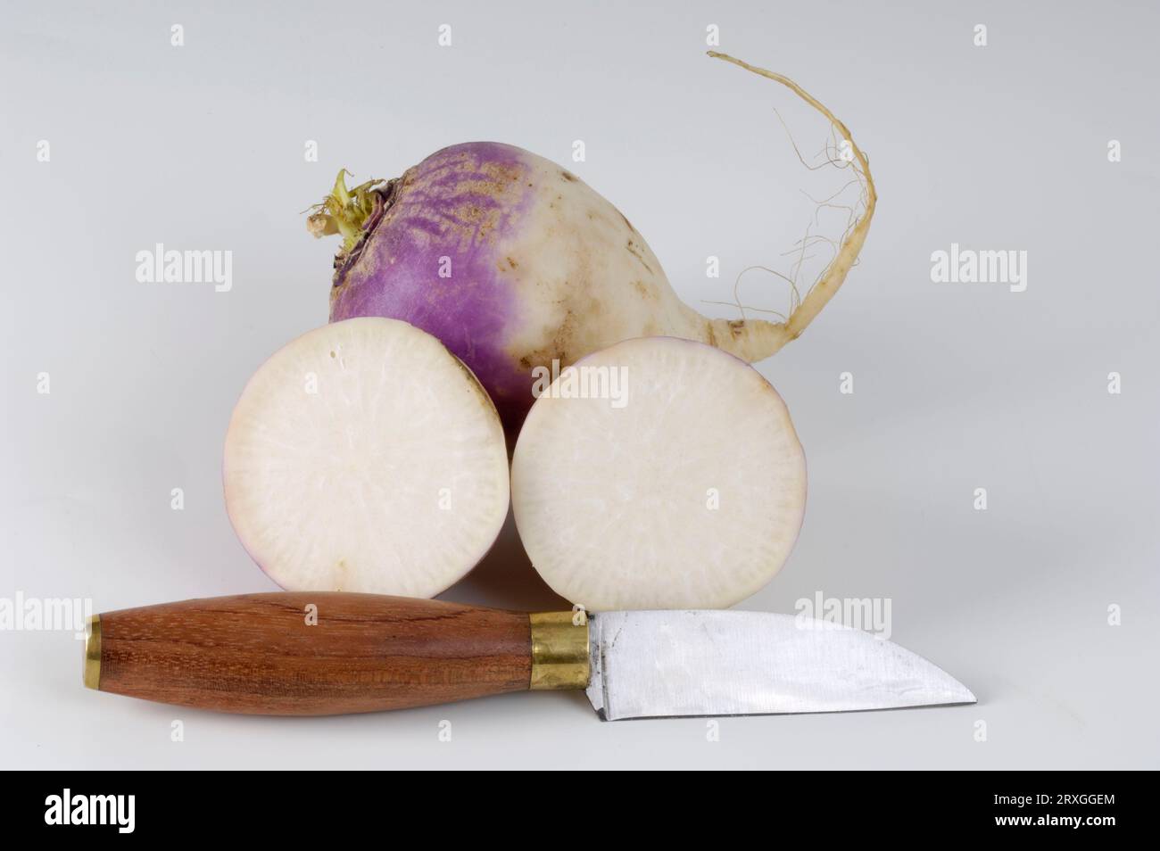Beta vulgaris var rapa -Fotos und -Bildmaterial in hoher Auflösung – Alamy