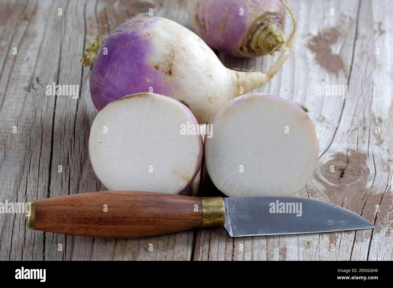 Beta vulgaris var rapa -Fotos und -Bildmaterial in hoher Auflösung – Alamy