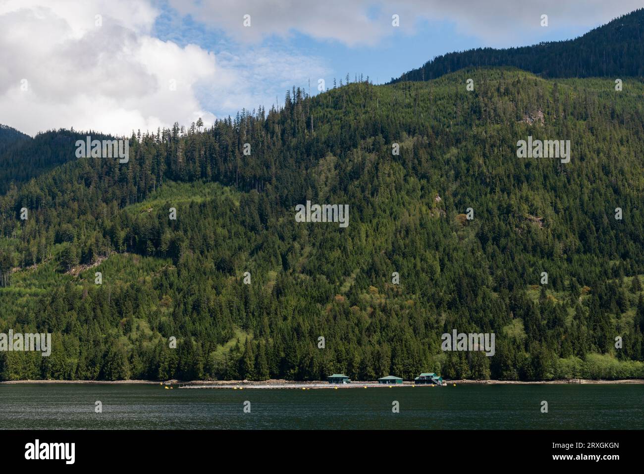 Fischzuchtbetriebe in den Küstengewässern von British Columbia, Kanada Stockfoto