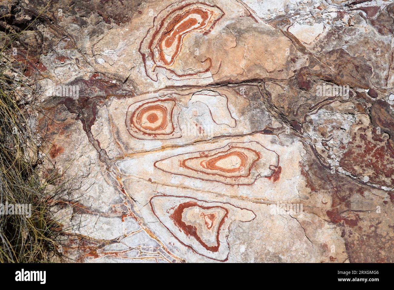 Ignimbrite vulkanische Felsformation mit Liesegang-Ringen. Die gelben Adern sind das Karosit-Mineral und rötlich sind Goethit. Dieses Foto wurde in Rodal aufgenommen Stockfoto