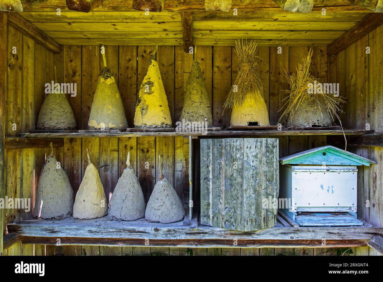 Alte Imkerspieße aus Korbgeflecht, mit Schlamm verputzt, im Museum des wallonischen ländlichen Lebens in Saint-Hubert, Luxemburg, Belgische Ardennen, Belgien Stockfoto