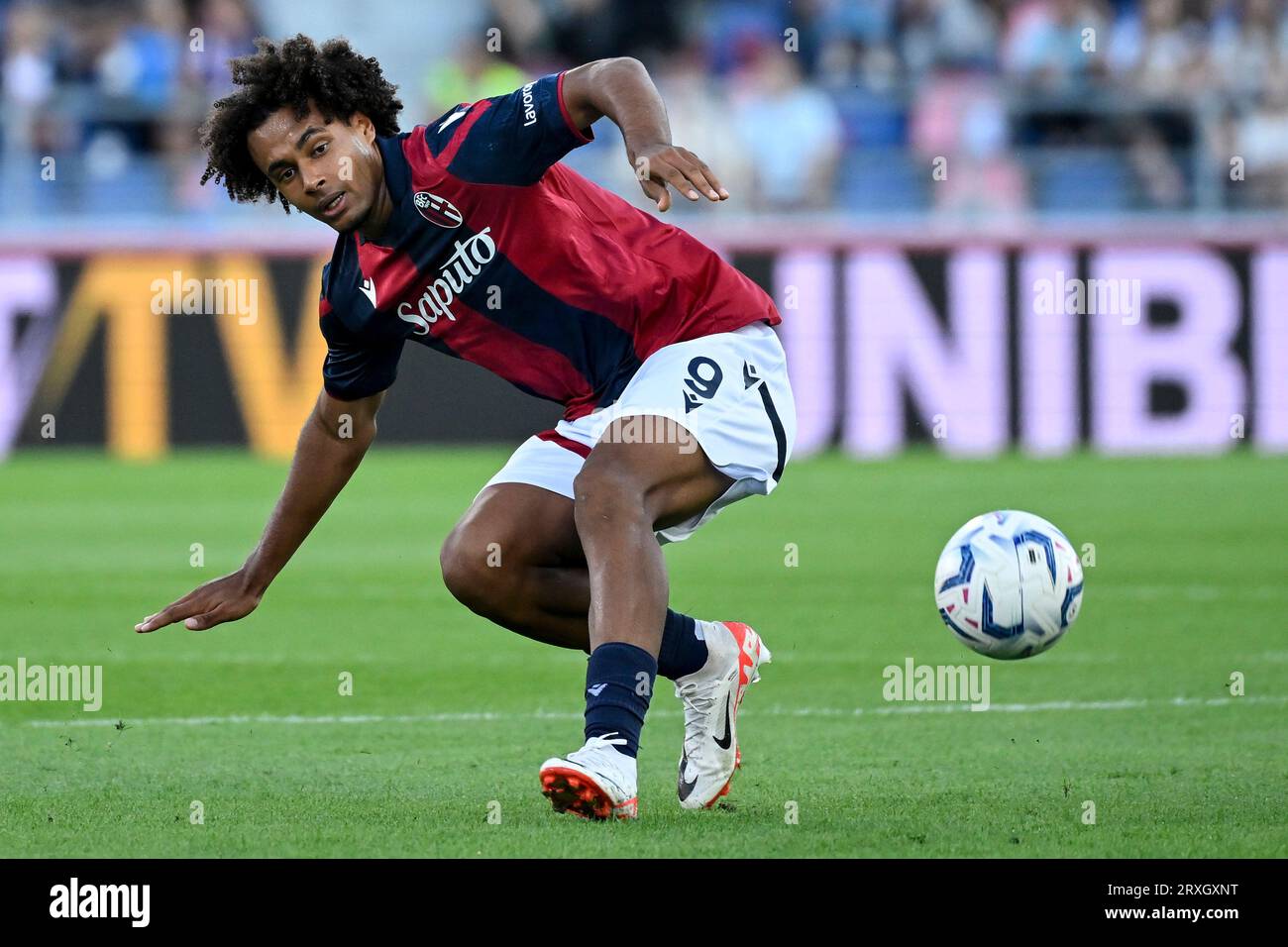 Joshua Zirkzee vom Bologna FC in Aktion während des Fußballspiels der Serie A zwischen Bologna FC und SSC Napoli im Renato Dall'Ara Stadion in Bologna (Italien), 24. September 2023. Stockfoto