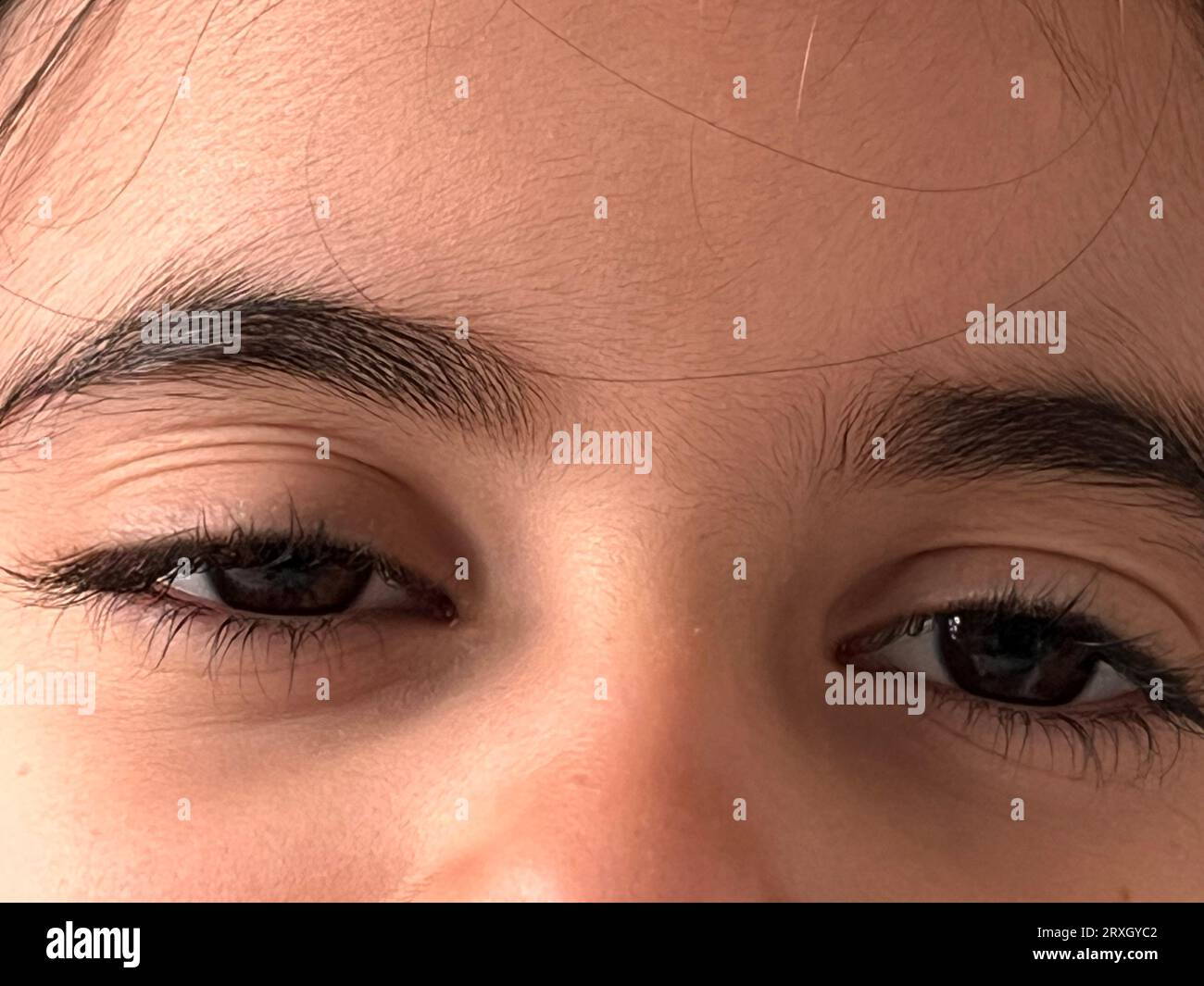 Nahaufnahme der braunen Augen eines Mädchens Stockfoto