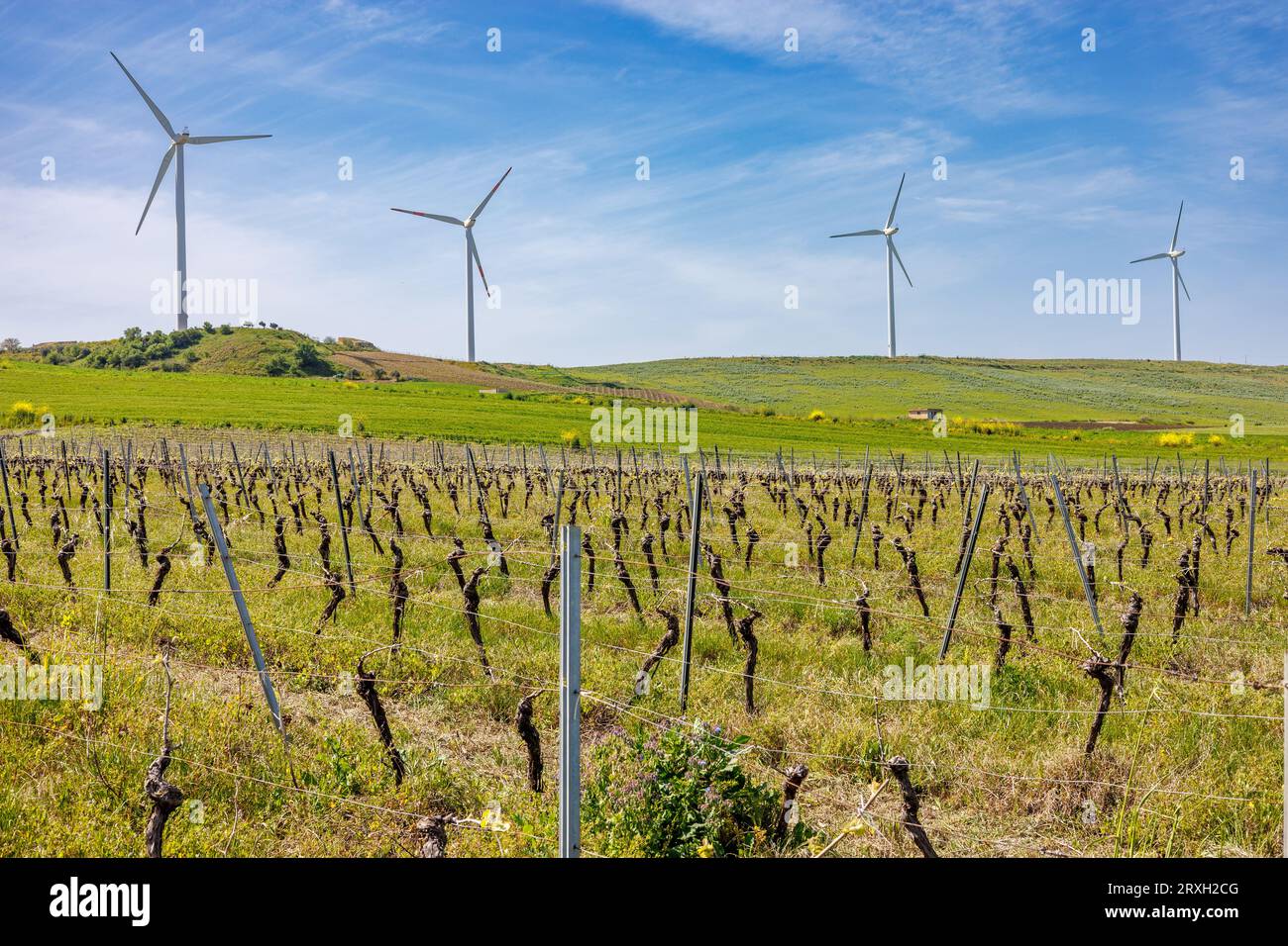 Landschaft mit Weinbergen und Windkraftanlagen auf der Westinsel Sizilien, Italien Stockfoto