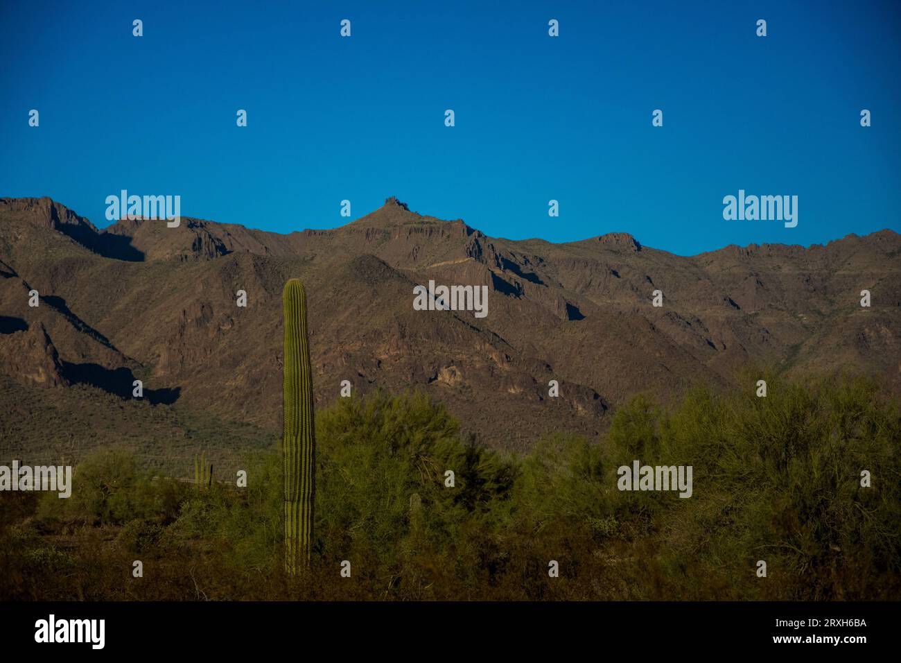 Sonnenuntergang in den Superstition Mountains von Arizona, Bild 9646 Stockfoto