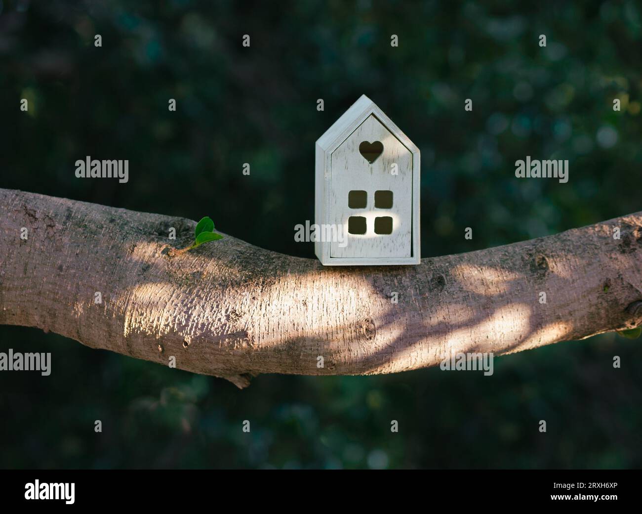 Kleines Holzhaus auf Baumzweig. Das unlackierte, rohe Holz des Hauses hebt sich in starkem Kontrast zum üppigen, unscharfen grünen Hintergrund ab. Stockfoto