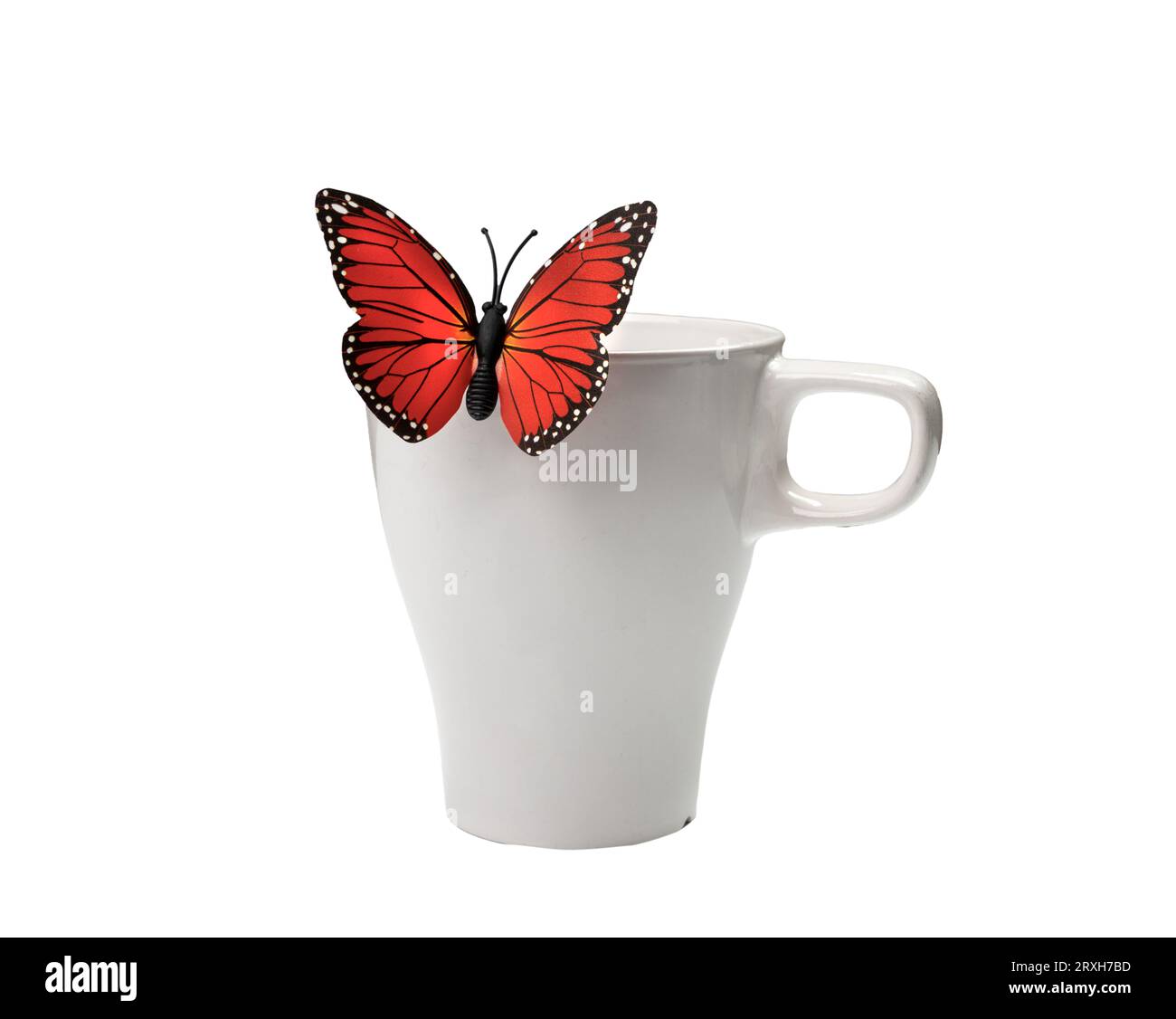 Ein falscher Schmetterling auf einer weißen Tasse Stockfoto
