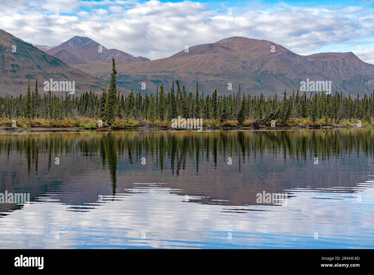 Reflexionen in einem ruhigen See in der Ruby Range des Yukon. Die Herbstfarben ziehen langsam in die Landschaft, Yukon, Kanada Stockfoto