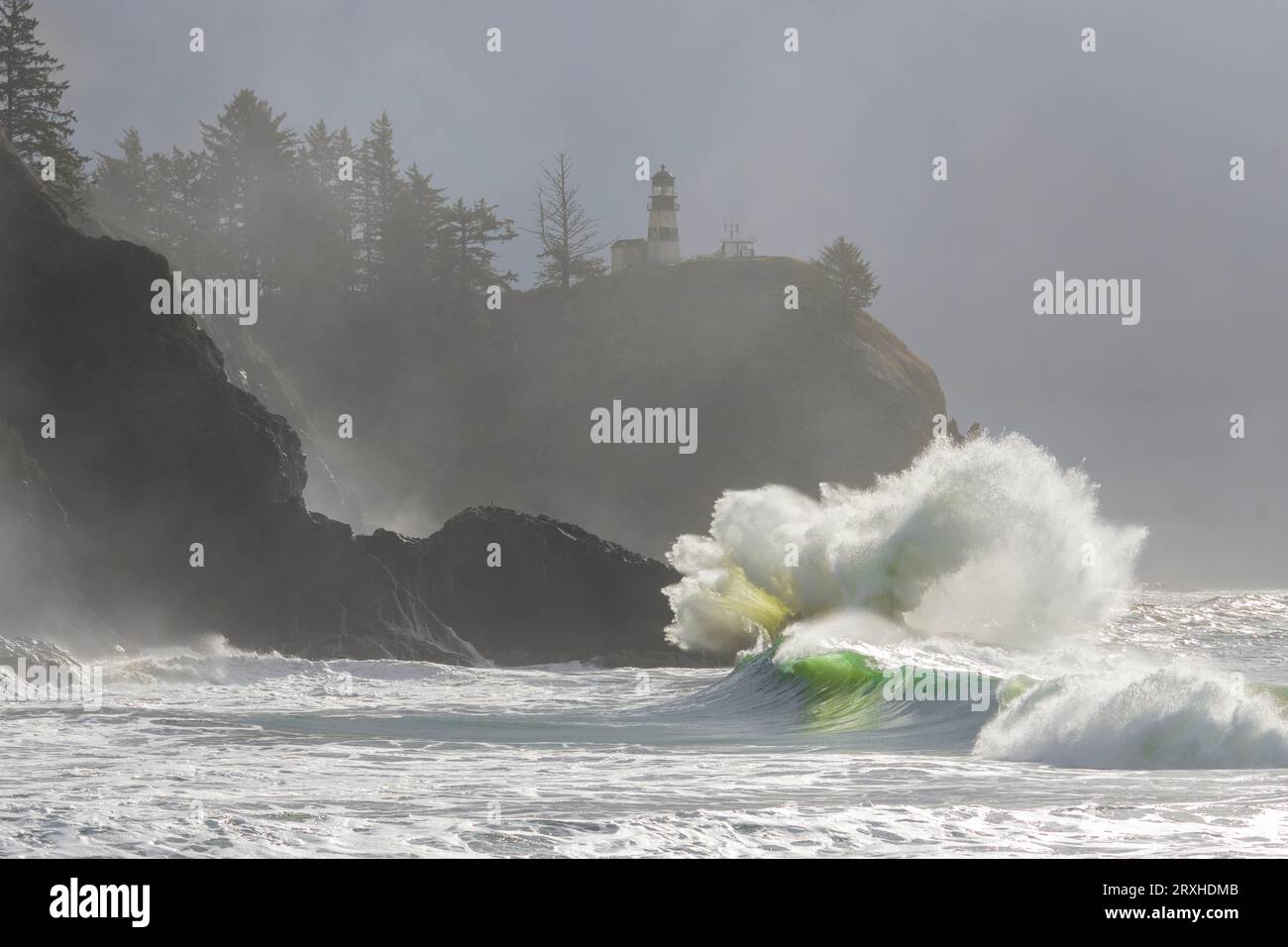 Der Morgennebel verstärkt die dramatische Schönheit der Wellen, die in die Klippen des Cape Desappointment Lighthouse an der Mündung des Columbia River stürzen... Stockfoto