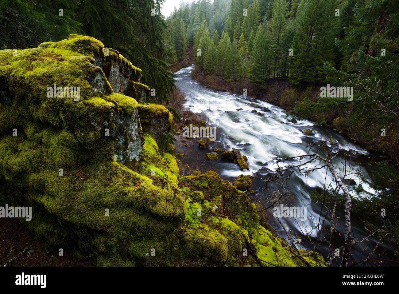 Der Upper Rogue River verläuft durch einen bewaldeten Canyon im Siskiyou National Forest, Oregon, USA; Oregon, Vereinigte Staaten von Amerika Stockfoto