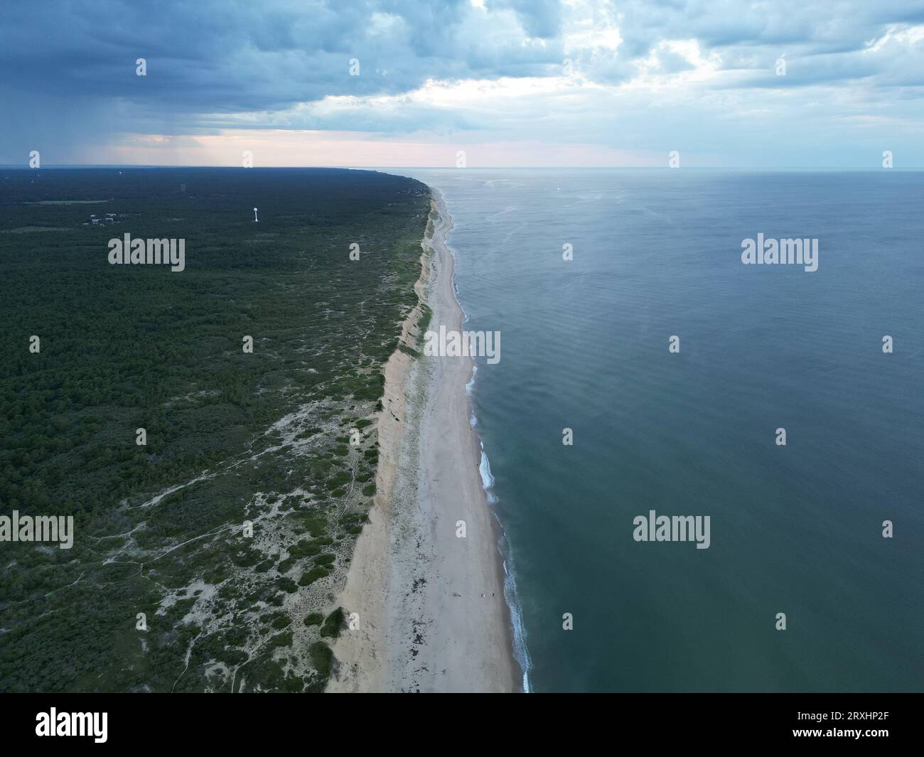 Forest Beach und Meer Stockfoto