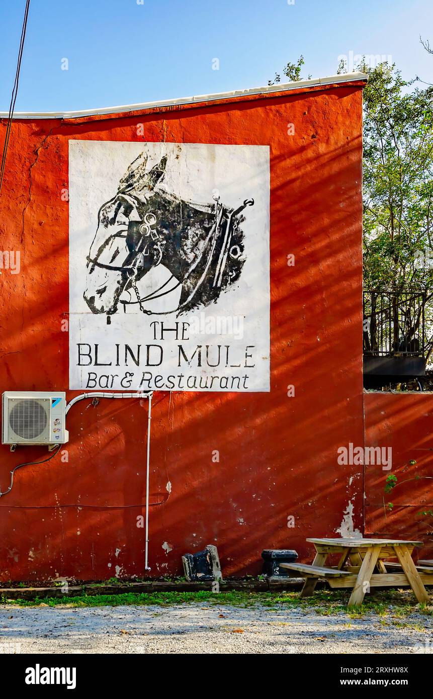 Die Bar und das Restaurant Blind Mule haben ein Wandgemälde eines Maultiers an der Seite des Gebäudes, 23. September 2023, in Mobile, Alabama. Stockfoto