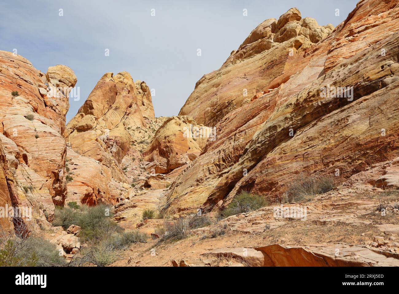 White Domes - Valley of Fire State Park, Nevada Stockfoto
