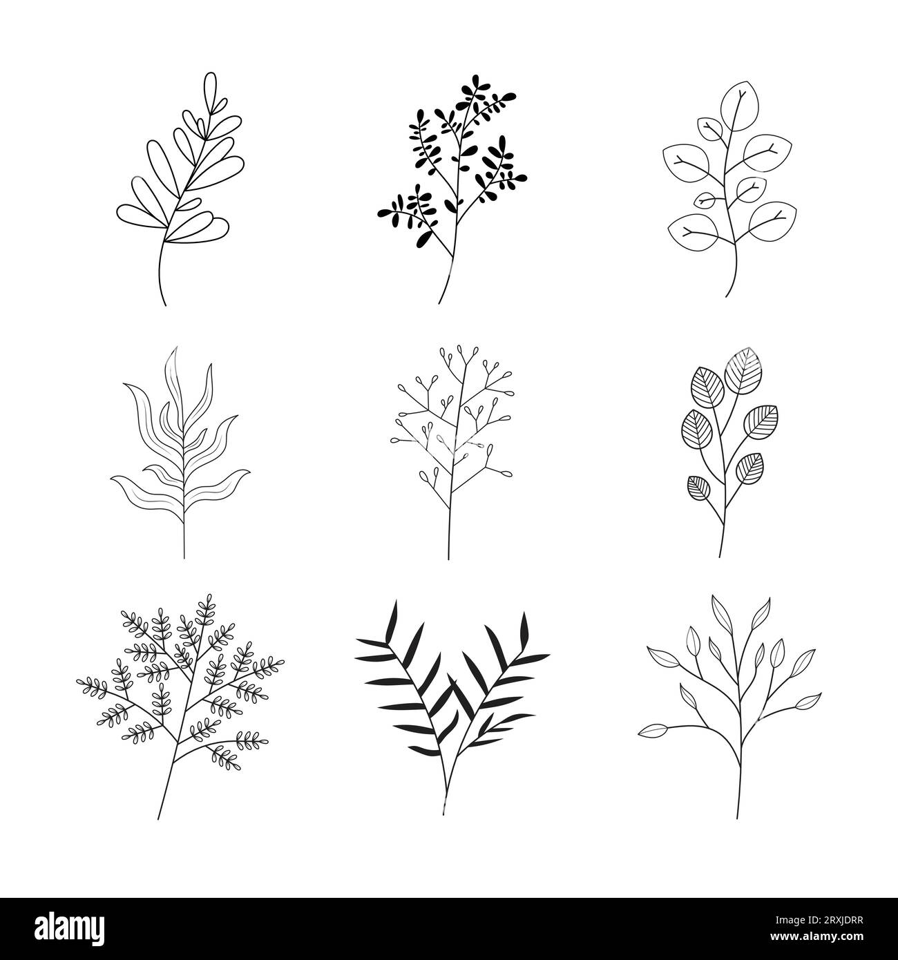 Minimalistische Blumen und botanische Kollektion. Von Hand gezeichneter Blumenzweig, Blätter, Kräuter und Wildpflanzen im Linienstil. Zur Dekoration. Stock Vektor